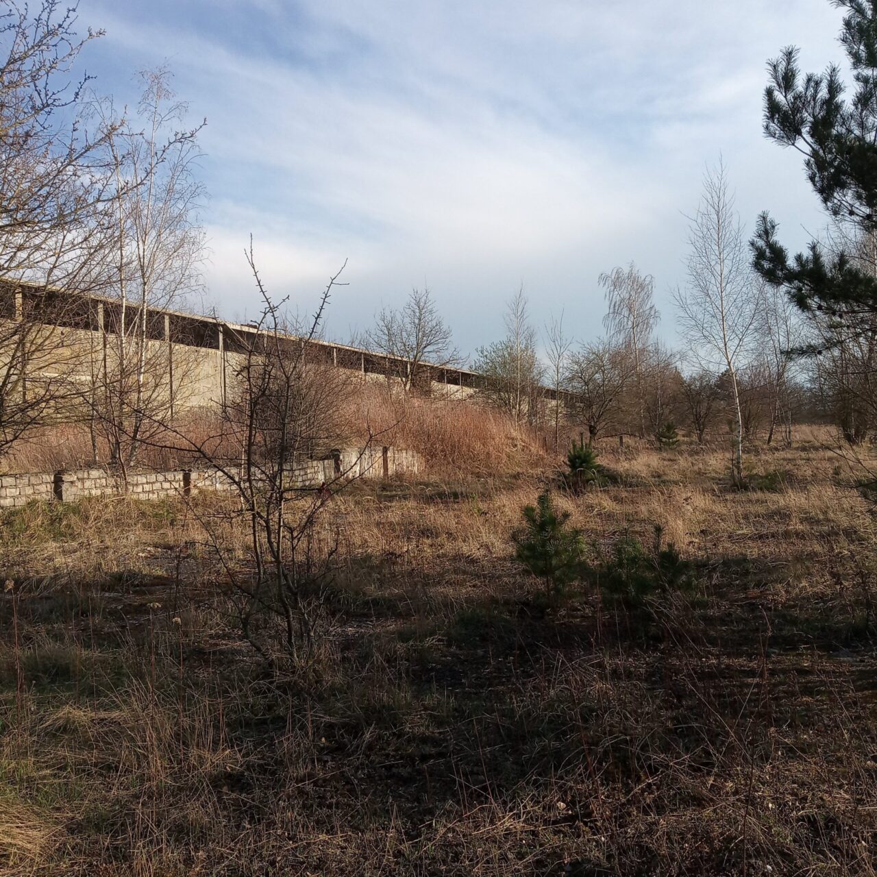 Opolskie Zakłady Przemysłu Lniarskiego Linopłyt, Wołczyn, opolskie — zdjęcie 9