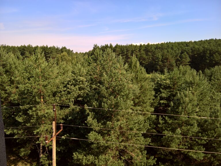Stara Spółdzielnia Inwalidów, Olkusz, województwo małopolskie - relacja z 08.2021, zdjęcie 14