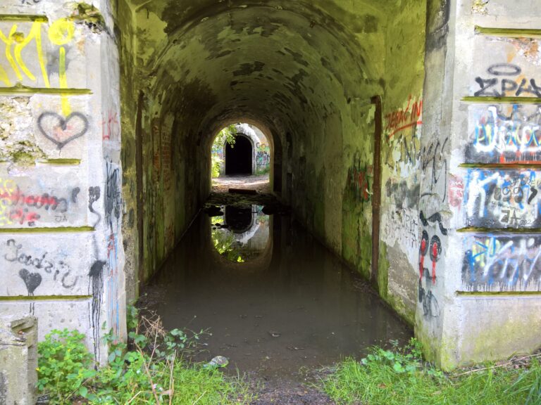 Fort 50 Prokocim, Kraków, województwo małopolskie - relacja z 08.2021, zdjęcie 11