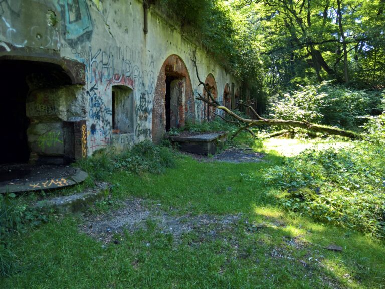 Fort 50 Prokocim, Kraków, województwo małopolskie - relacja z 08.2021, zdjęcie 12
