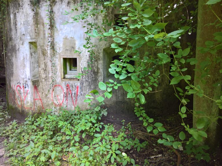 Fort 51 Rajsko, Kraków, województwo małopolskie - relacja z 08.2021, zdjęcie 10