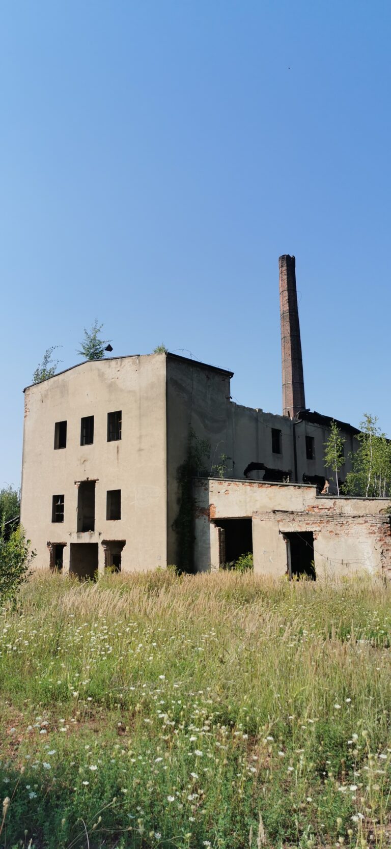 Cegielnia “Gotyka”, Czaple Wolne, województwo opolskie - relacja z 08.2021, zdjęcie 8