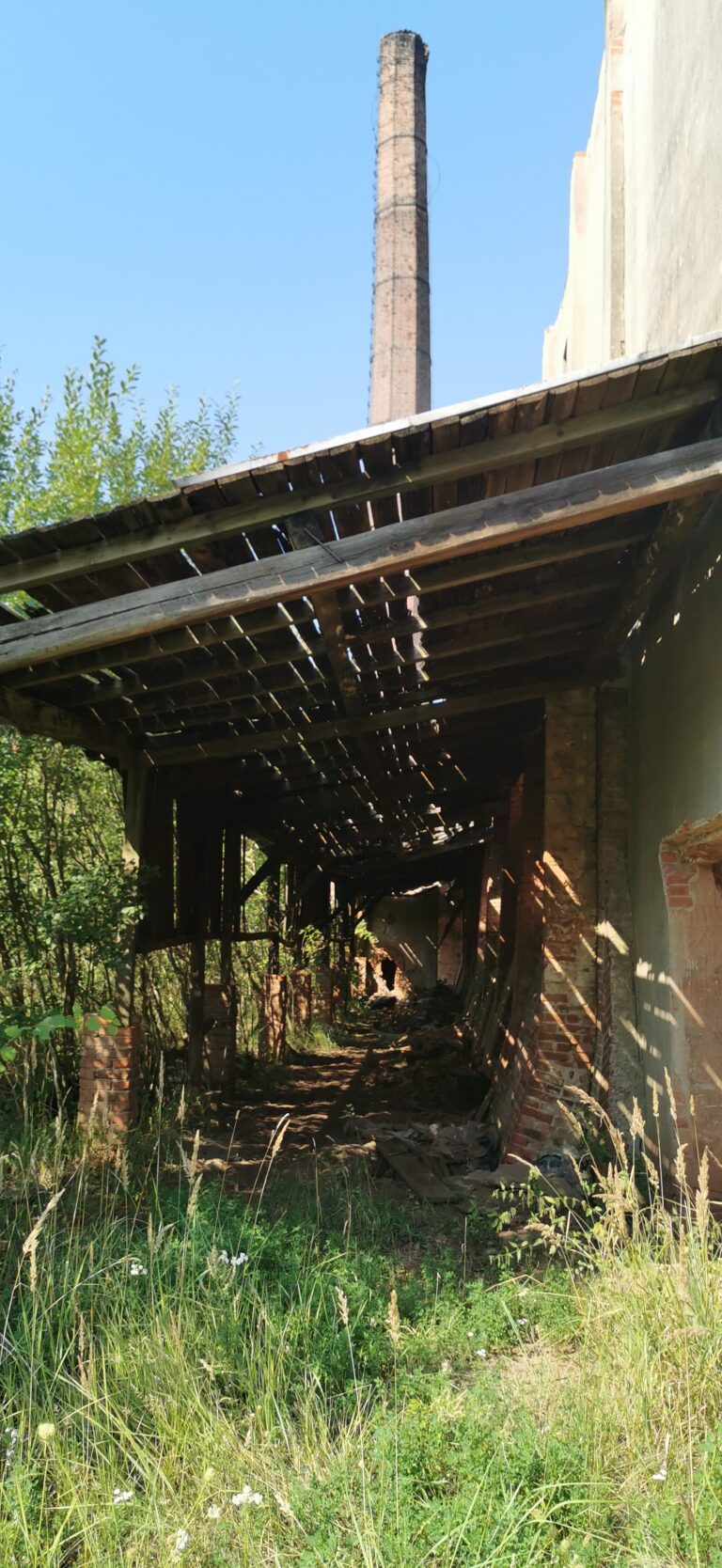 Cegielnia “Gotyka”, Czaple Wolne, województwo opolskie - relacja z 08.2021, zdjęcie 9
