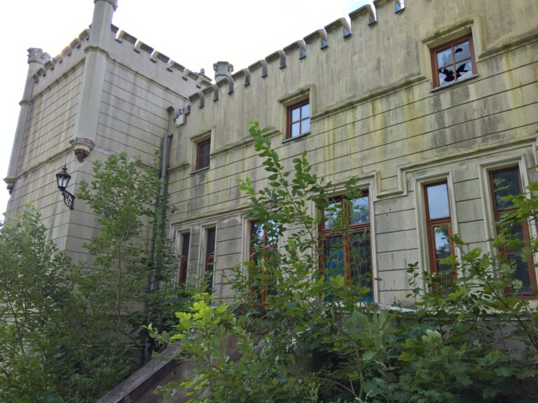 Opuszczony pałac, Jankowo, województwo kujawsko-pomorskie - relacja z 08.2021, zdjęcie 18
