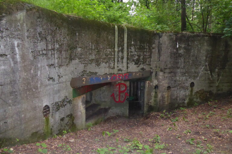 R116b i Sonderwerk, Nieborowice, województwo śląskie - relacja z 08.2021, zdjęcie 3