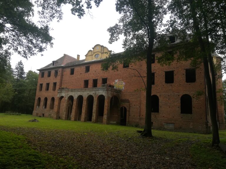 Zamek w stanie surowym, Grąbkowo, województwo wielkopolskie - zdjęcie z relacji 13