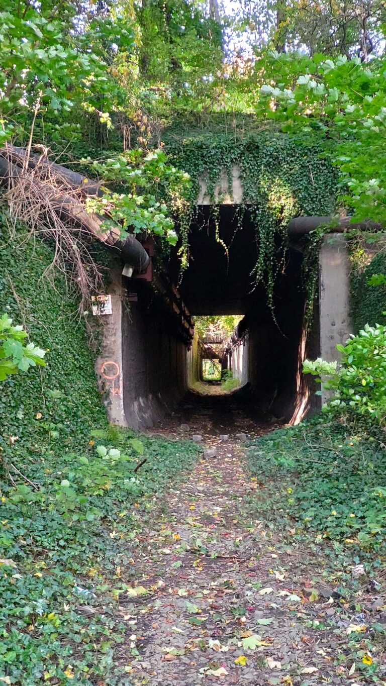 Tunel Kolei Piaskowej na Zaborzu, Zabrze, województwo śląskie - relacja z 10.2021, zdjęcie 6