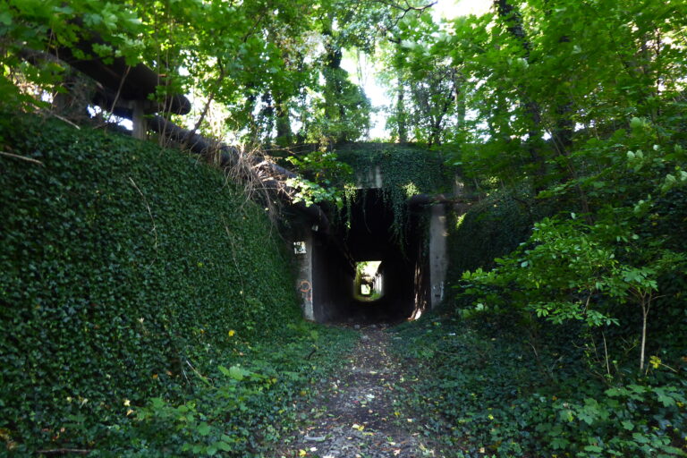 Tunel Kolei Piaskowej na Zaborzu, Zabrze, województwo śląskie - relacja z 10.2021, zdjęcie 7