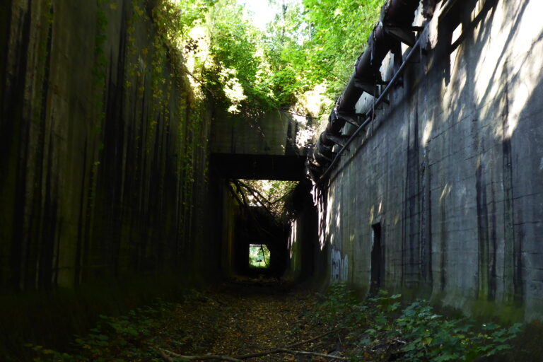 Tunel Kolei Piaskowej na Zaborzu, Zabrze, województwo śląskie - relacja z 10.2021, zdjęcie 8