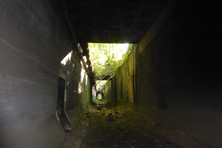 Tunel Kolei Piaskowej na Zaborzu, Zabrze, województwo śląskie - relacja z 10.2021, zdjęcie 9