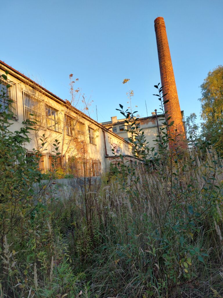 Dorbud, Kielce, województwo świętokrzyskie - zdjęcie z relacji 20
