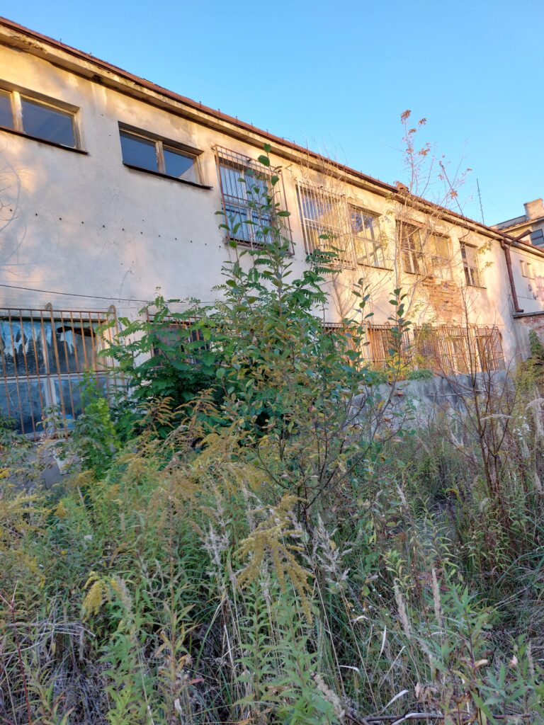 Dorbud, Kielce, województwo świętokrzyskie - zdjęcie z relacji 21