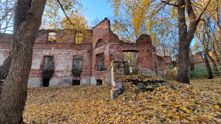 Ruiny Pałacu Łubieńskich z 1820 roku, Okuniew, województwo mazowieckie - zdjęcie 3