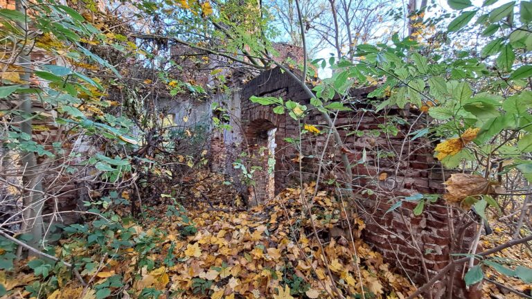 Ruiny Pałacu Łubieńskich z 1820 roku, Okuniew, województwo mazowieckie - zdjęcie 9