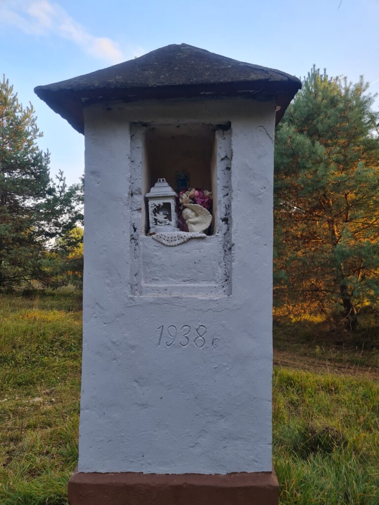 Ujków Stary – pozostałości po wiosce w lesie - zdjęcie 1