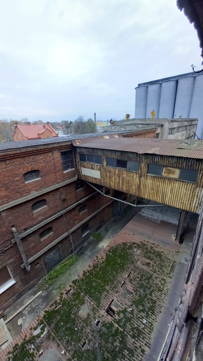 Stare młyny, Pleszew, województwo wielkopolskie - relacja z 11.2021, zdjęcie 9
