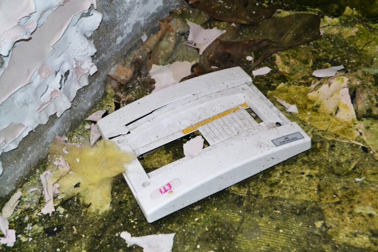 Sporej wielkosci zajazd / hotel przy trasie DK60 pomiędzy Gośtyniem a Płockiem., Wola Łącka, województwo mazowieckie - relacja z 11.2021, zdjęcie 6