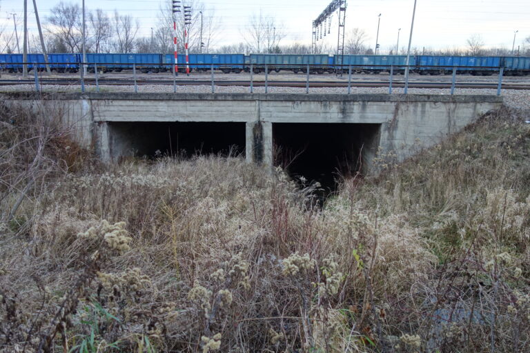 Stary Tunel Wąskotorówki i Strusinki, Tarnów, województwo małopolskie - zdjęcie 1
