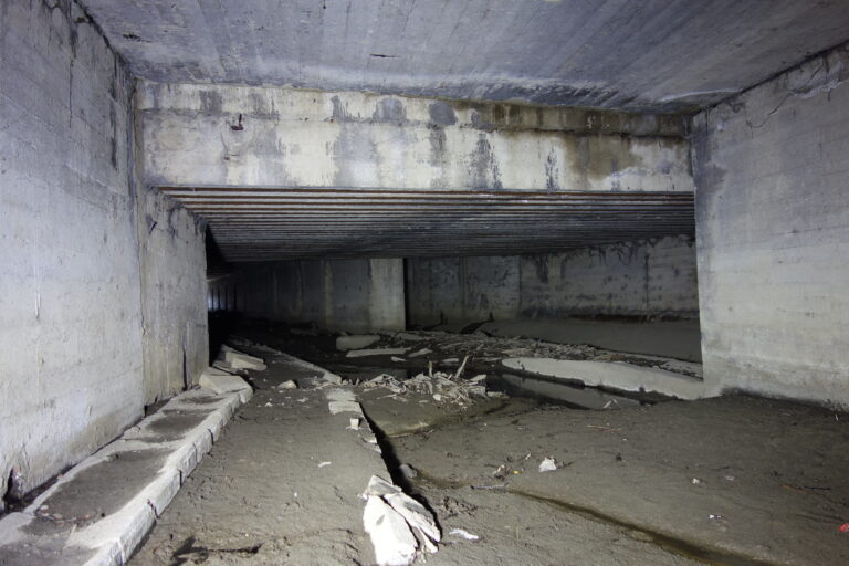 Stary Tunel Wąskotorówki i Strusinki, Tarnów, województwo małopolskie - zdjęcie 3