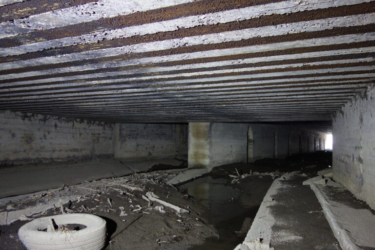 Stary Tunel Wąskotorówki i Strusinki, Tarnów, województwo małopolskie - zdjęcie 5