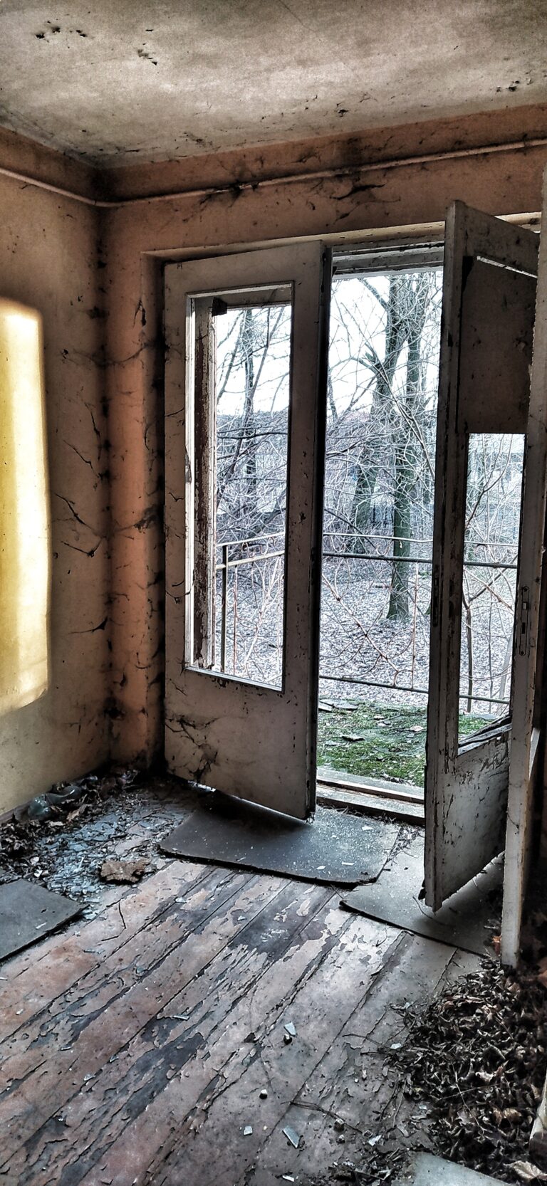 Dom z warsztatem, Błotnica Strzelecka, województwo opolskie - zdjęcie 1