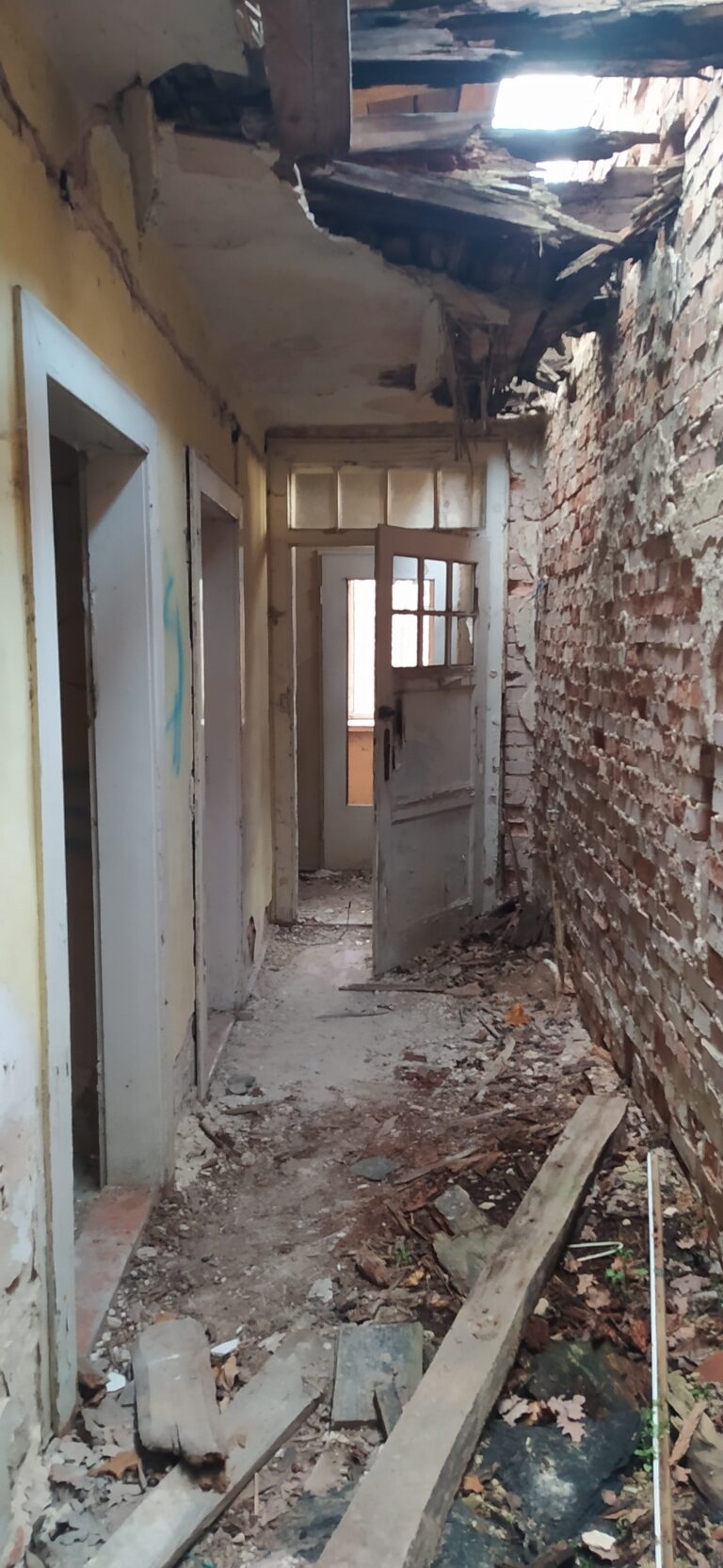 Dom z warsztatem, Błotnica Strzelecka, województwo opolskie - zdjęcie 2