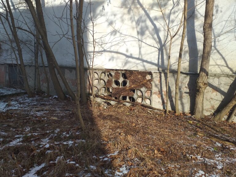 Opuszczone kino/dyskoteka BRONX, Chrzanów, województwo małopolskie - relacja z 01.2022, zdjęcie 24