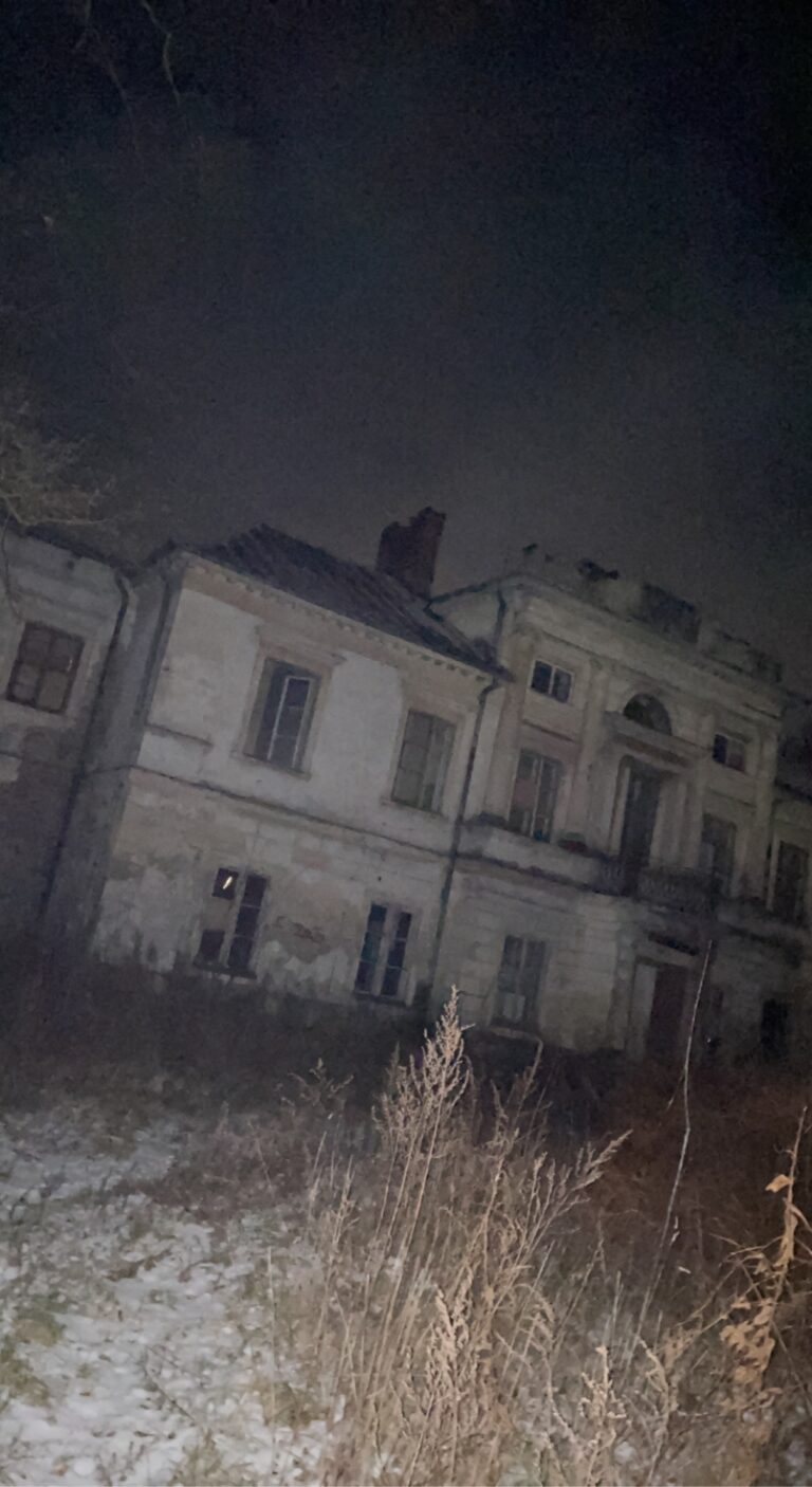Pałac Kickich w Sobieszynie, Sobieszyn, województwo lubelskie - relacja z 01.2022, zdjęcie 2