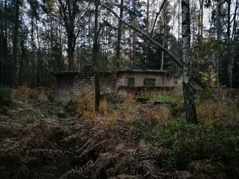 Pole Południe – Zejścia do bunkrów (otwarte), Zielonka, województwo dolnośląskie - zdjęcie 1