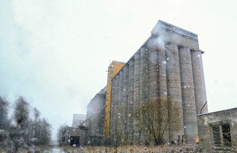Silosy Spożywcze, Włocławek, województwo kujawsko-pomorskie - zdjęcie z relacji 25