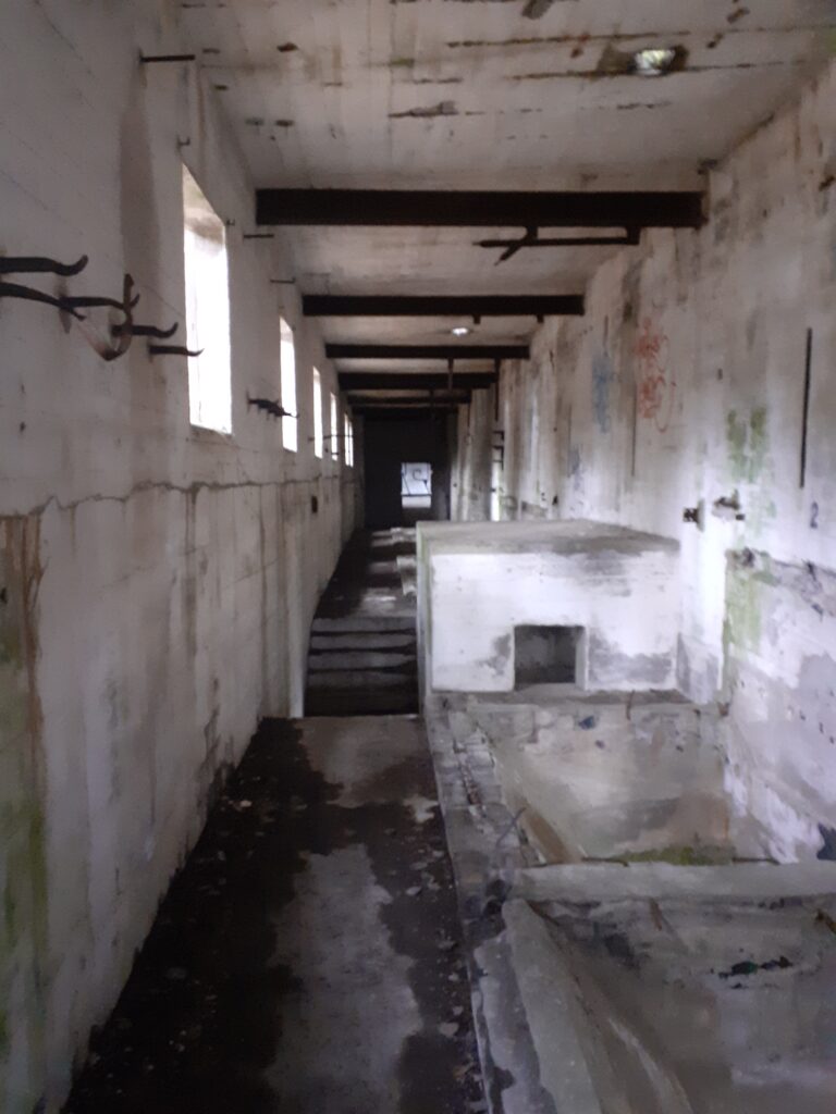 Stara fabryka, Bydgoszcz, województwo kujawsko-pomorskie - zdjęcie 3