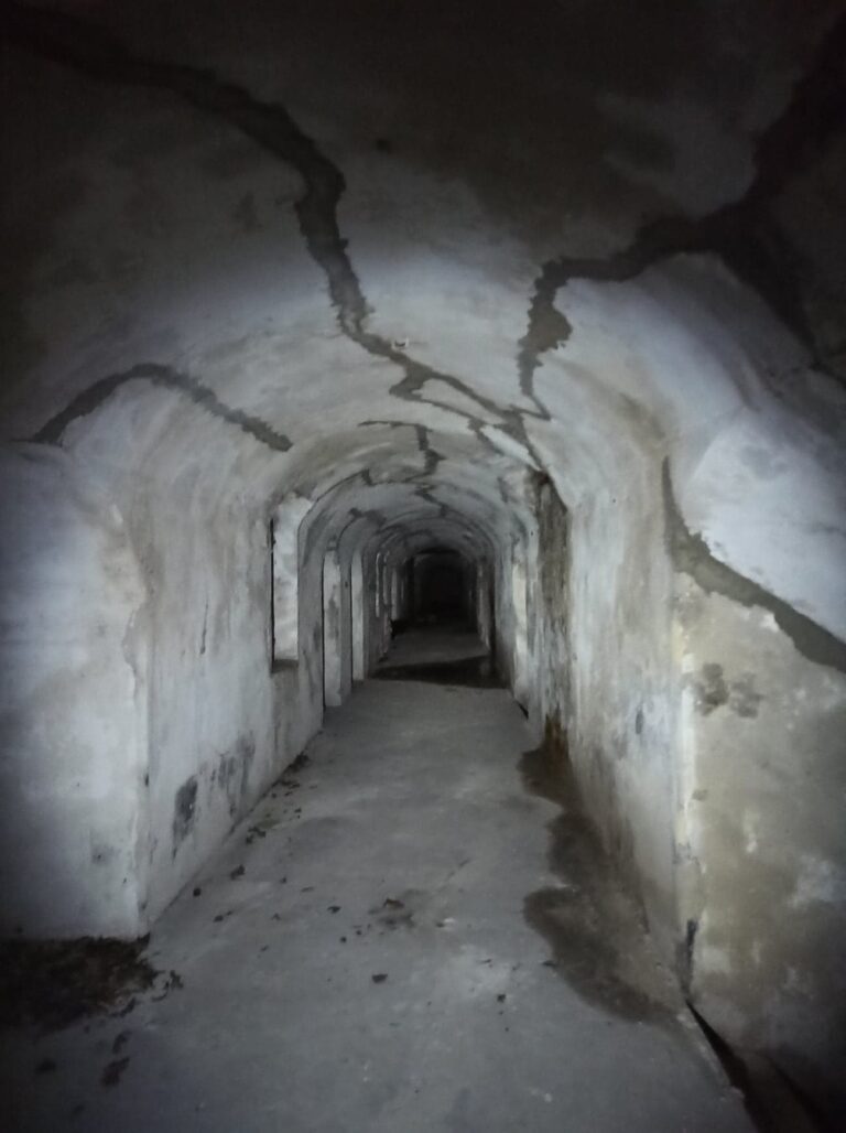 Fort 49a Dłubnia, Kraków, województwo małopolskie - relacja z 03.2022, zdjęcie 3