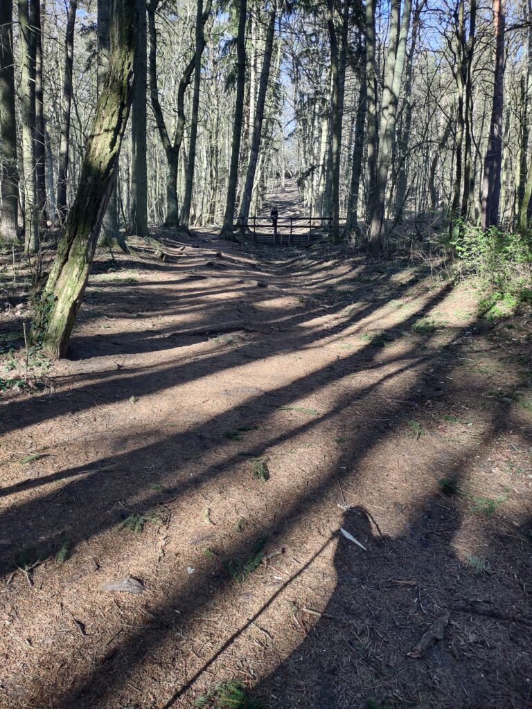 Wieża Quistorpa, Szczecin, województwo zachodniopomorskie - relacja z 04.2022, zdjęcie 14