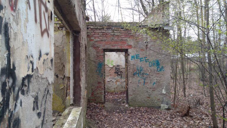 RUINY DOMU, Piaseczno, województwo mazowieckie - zdjęcie 1