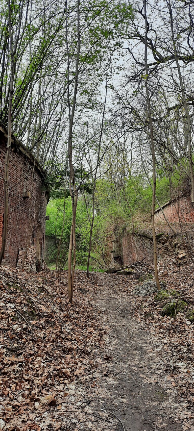Fort reditowy nr 7 “Za rzeką”, Kraków, województwo małopolskie - zdjęcie 2