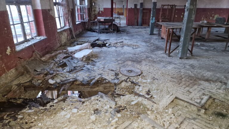 Dolnośląska Faryka Instrumentów Lutniczych DEFIL, Lubin, województwo dolnośląskie - zdjęcie z relacji 5