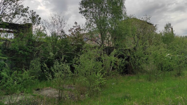 Opuszczona Cegielnia Gorlice, Gorlice, województwo małopolskie - zdjęcie z relacji 1