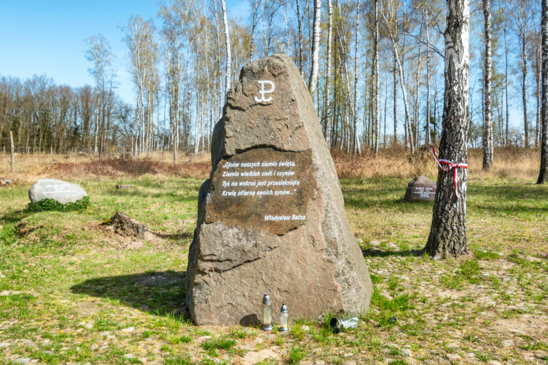 Pomniki ku pamieci Tajnych Polskich Organizacji, Węgierskie, województwo wielkopolskie - zdjęcie 3
