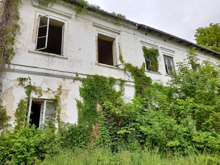 Pałac Kickich w Sobieszynie, Sobieszyn, województwo lubelskie - relacja z 05.2022, zdjęcie 4