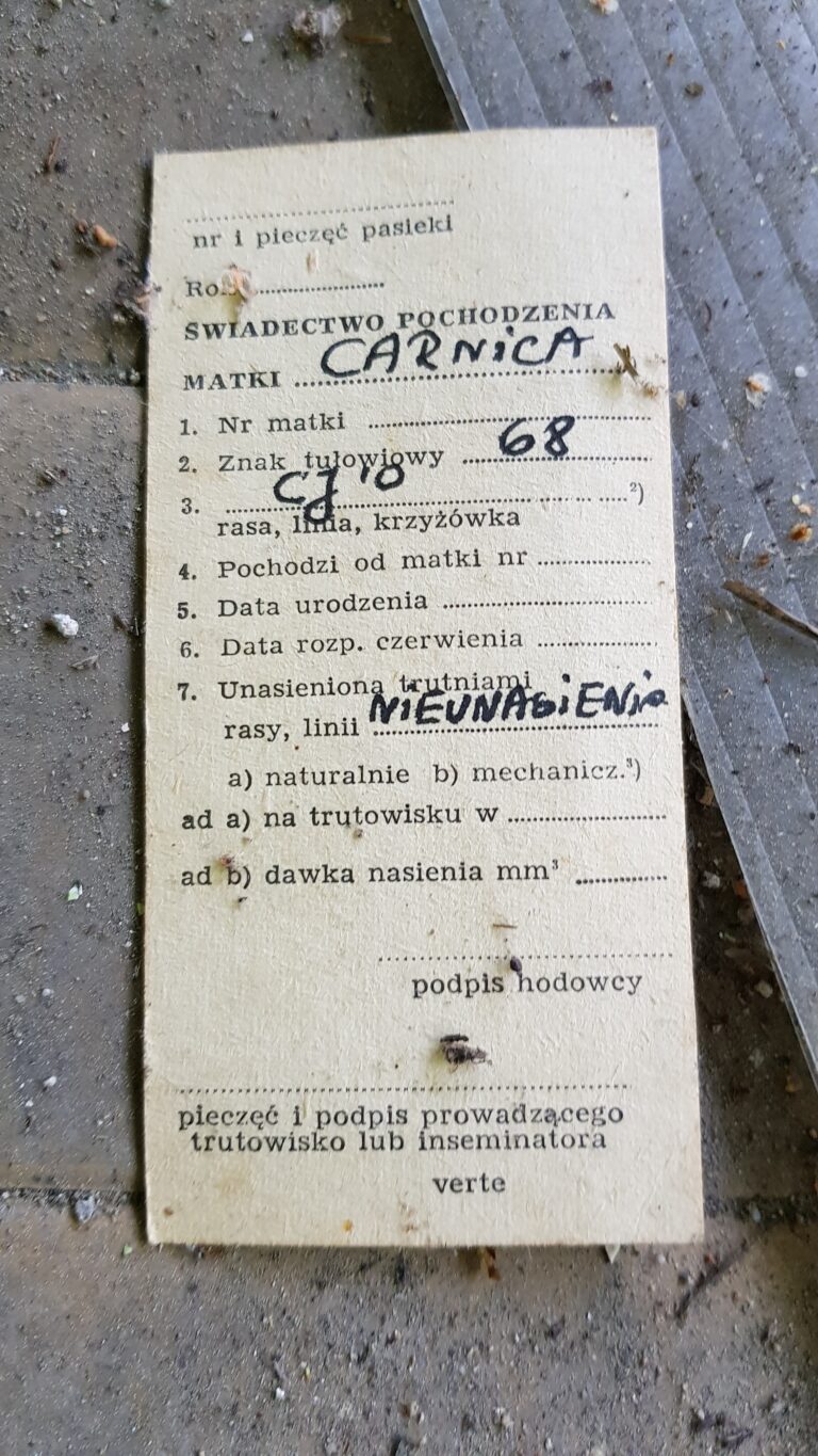 Ośrodek Kolonijno – Wczasowy Grażyna, Rabka-Zdrój, województwo małopolskie - zdjęcie z relacji 16