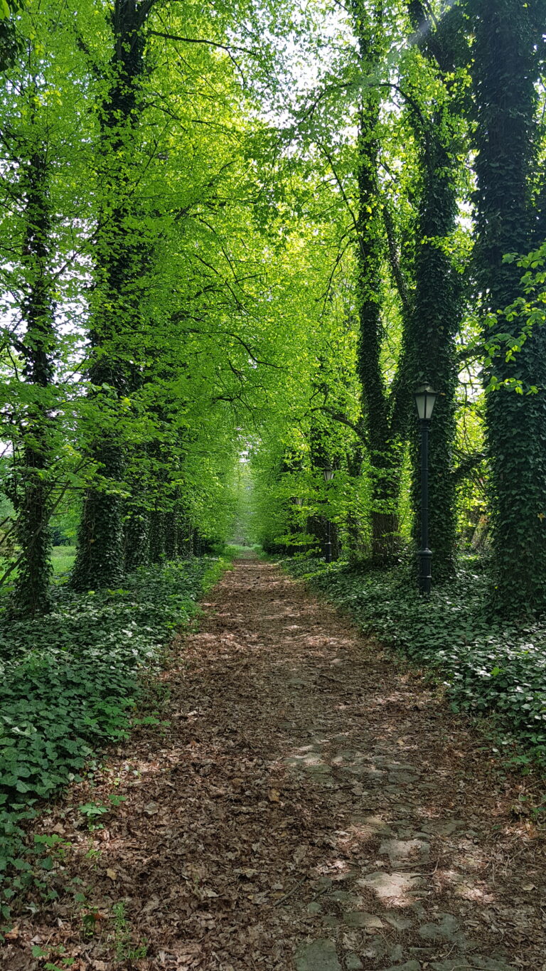 Pałac Morstinów w Pławowicach, Pławowice, województwo małopolskie - relacja z 05.2022, zdjęcie 11