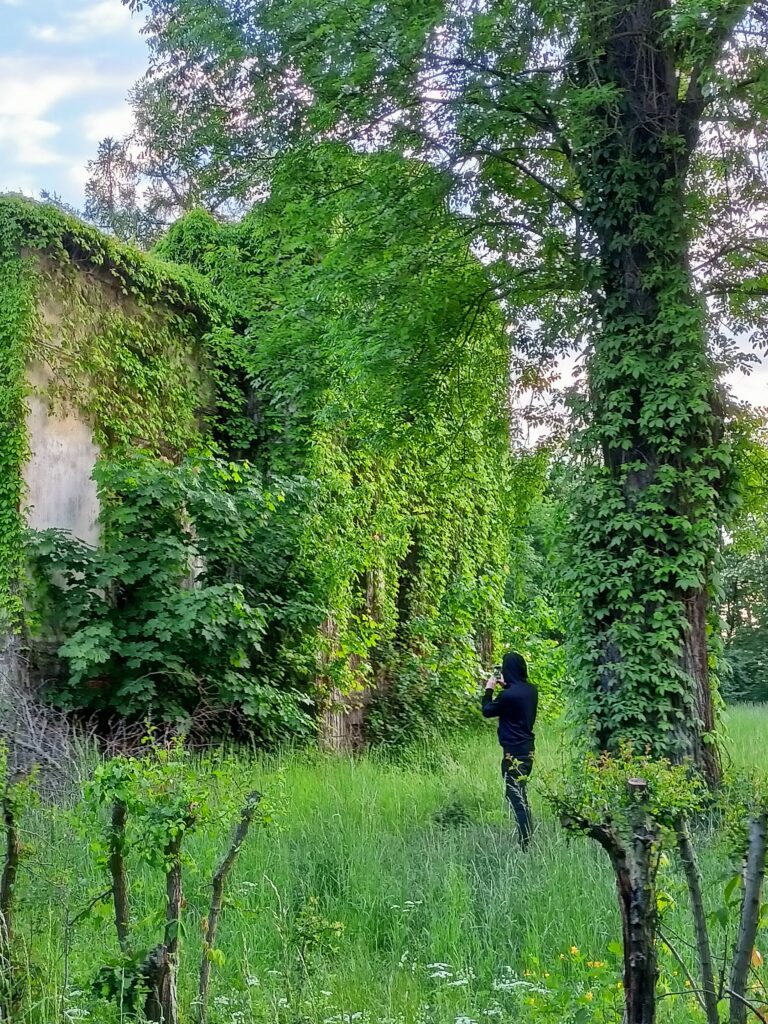 Pałac Biernacice – ruiny, Biernacice, województwo łódzkie - relacja z 05.2022, zdjęcie 1