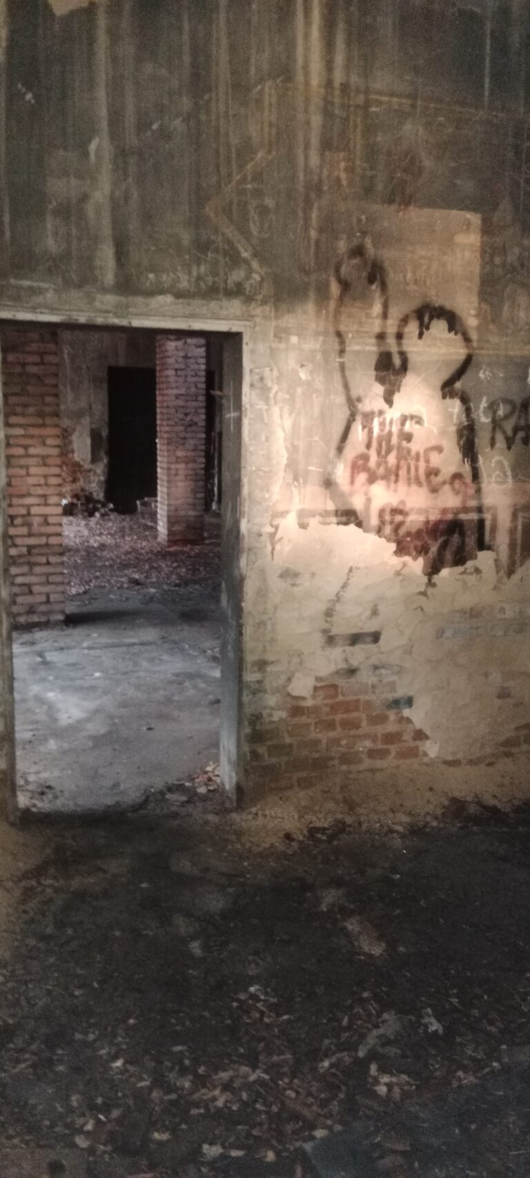 Stary Cmentarz Żydowski, Katowice, województwo śląskie - relacja z 06.2022, zdjęcie 11