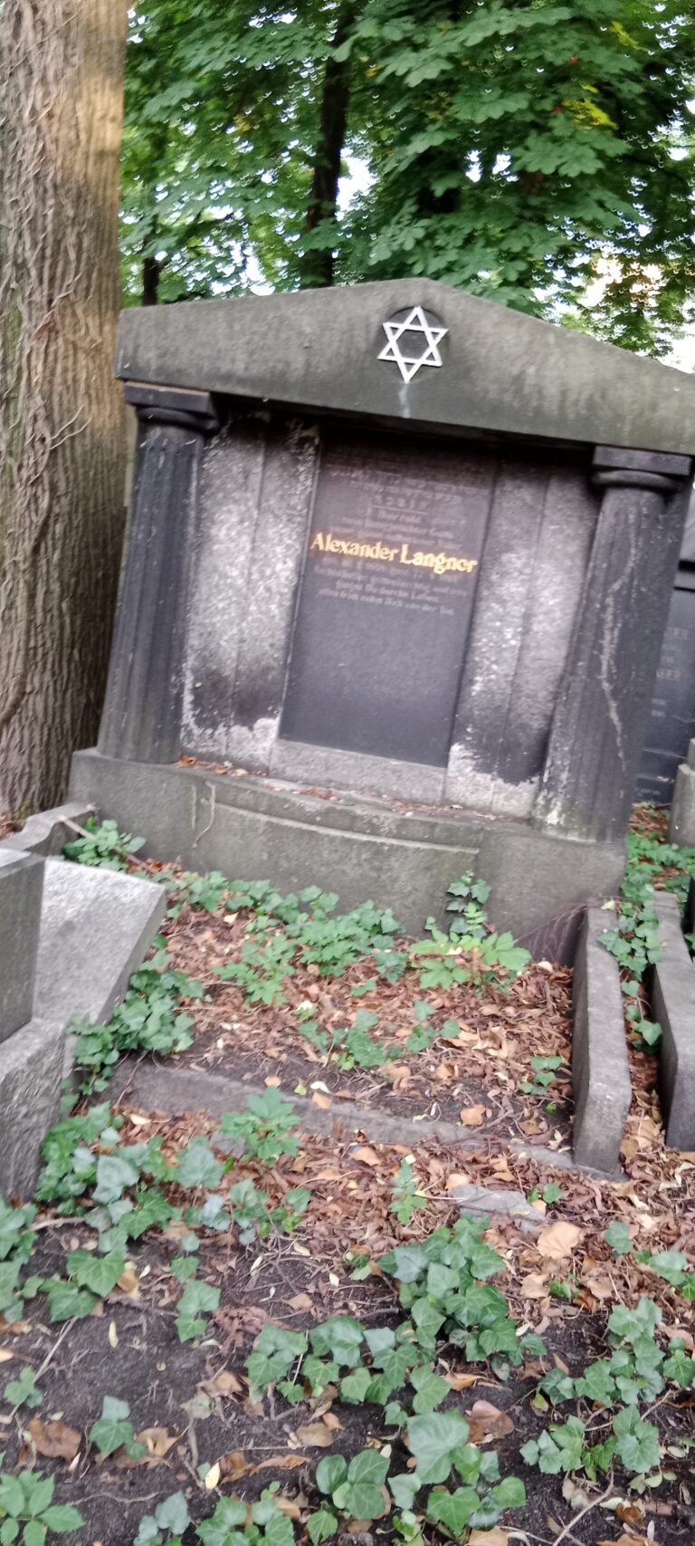 Stary Cmentarz Żydowski, Katowice, województwo śląskie - relacja z 06.2022, zdjęcie 13