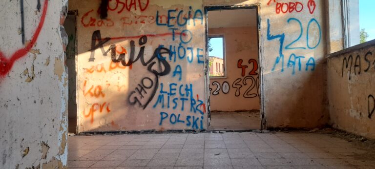 Cegielnia lenartowice, Lenartowice, województwo wielkopolskie - zdjęcie 6