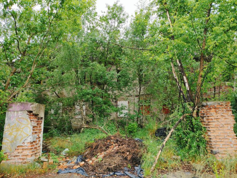 Opuszczony żłobek Gliwice, Gliwice, województwo śląskie - relacja z 06.2022, zdjęcie 13