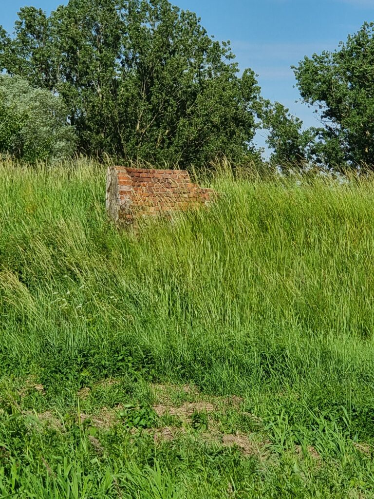 Opuszczona oczyszczalnia ścieków, Wola Niechcicka Stara, województwo łódzkie - relacja z 06.2022, zdjęcie 2