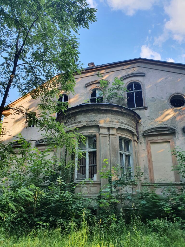 Opuszczony pałac w Zawiszy, Węgrzynice, województwo lubuskie - zdjęcie z relacji 19