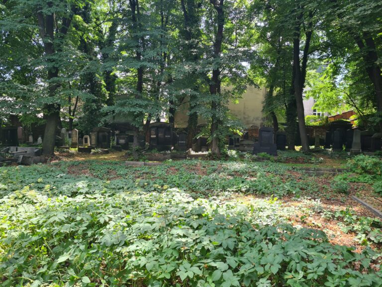 Stary Cmentarz Żydowski, Katowice, województwo śląskie - relacja z 07.2022, zdjęcie 17