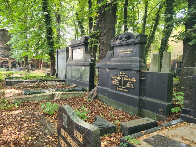 Stary Cmentarz Żydowski, Katowice, województwo śląskie - relacja z 07.2022, zdjęcie 18
